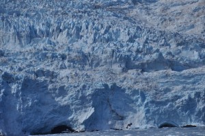 Holgate Glacier 3