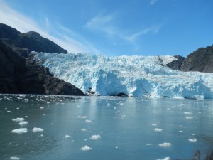 Holgate Glacier 5